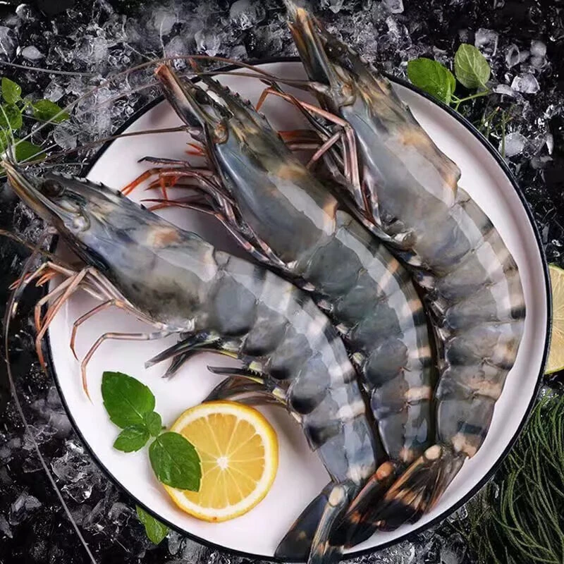 【活虾】黑虎虾500g/份 一斤装
