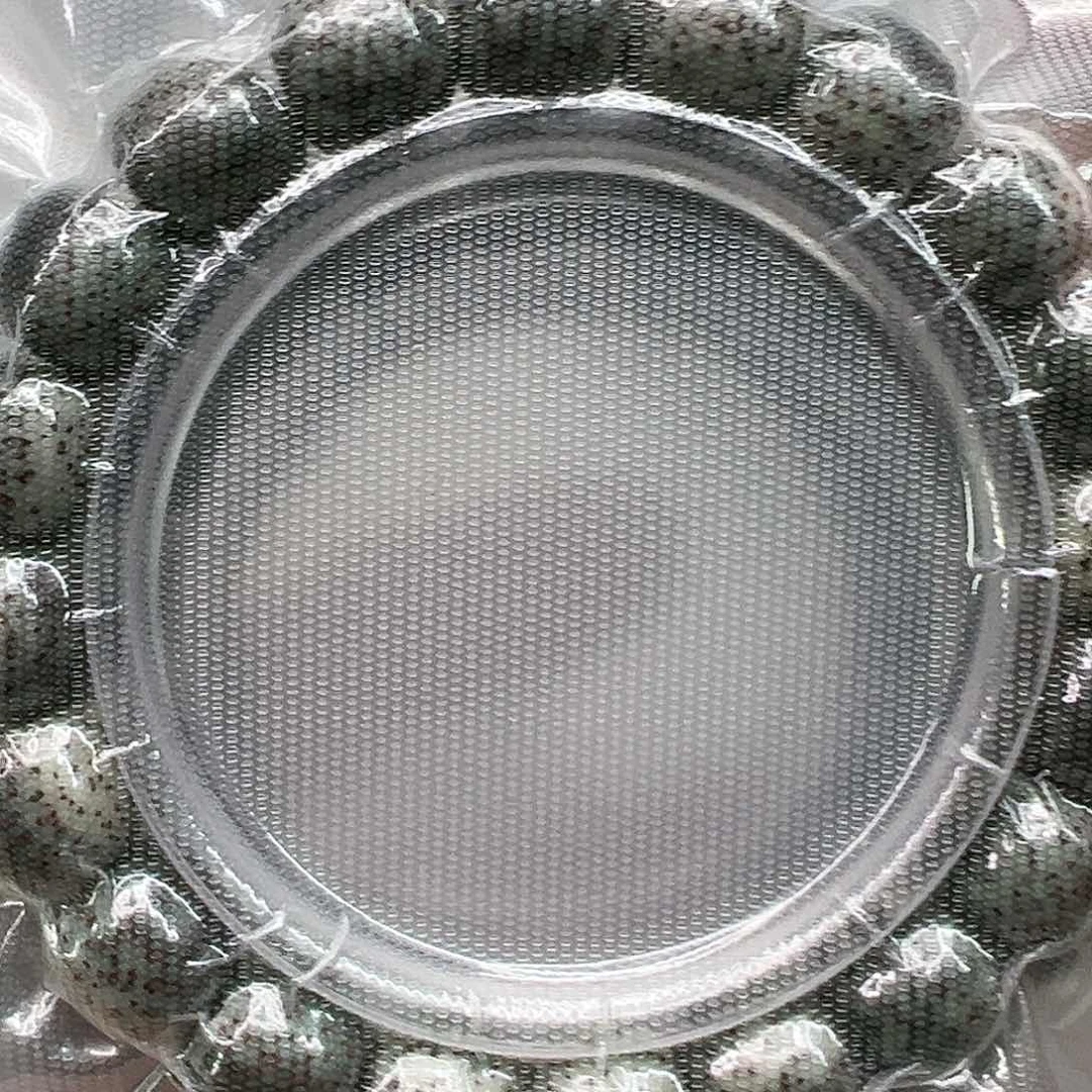 星月菩提手串45传说变态绿石玉星月菩提单圈12