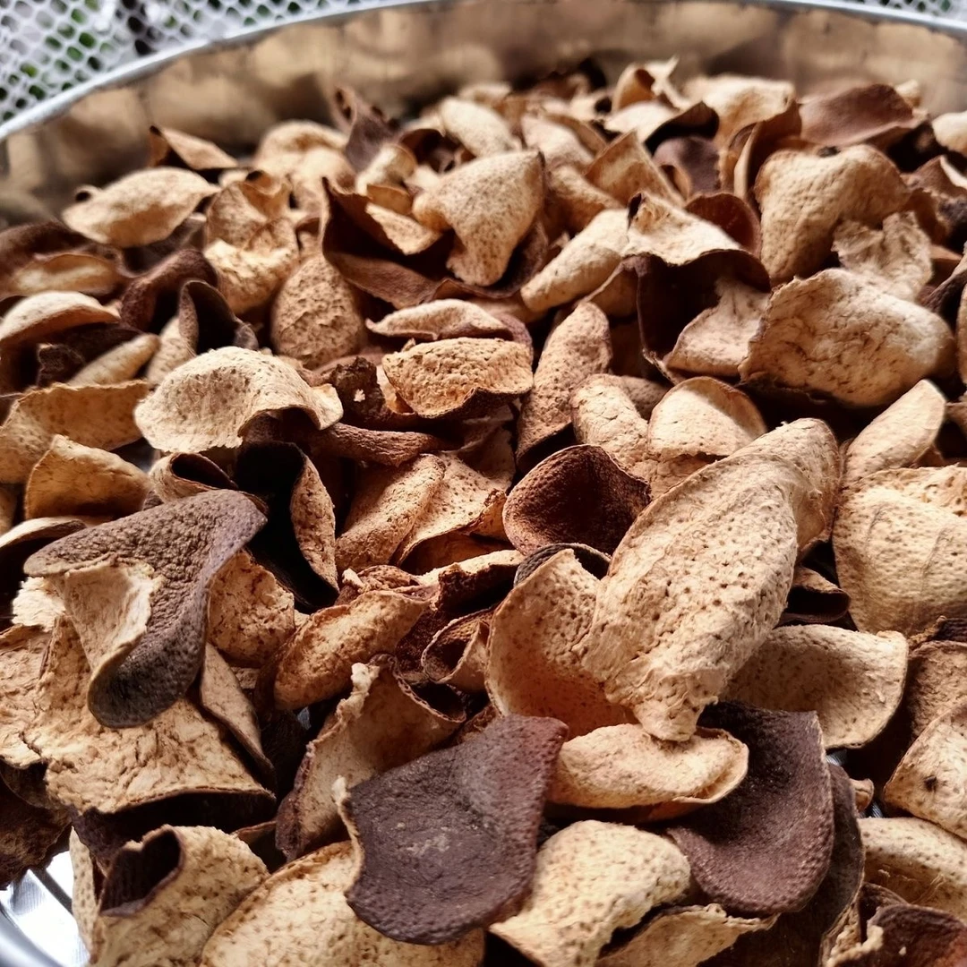 【阿权茶仓】东16陈化 大红皮  断皮 拍一发五到手1250g  袋装