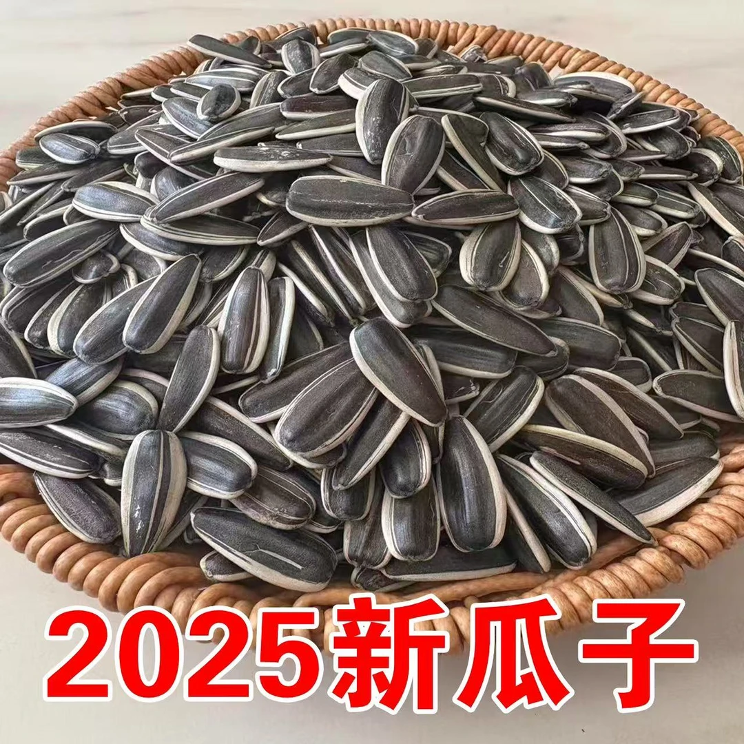 内蒙新瓜子精选金禾8号《生》