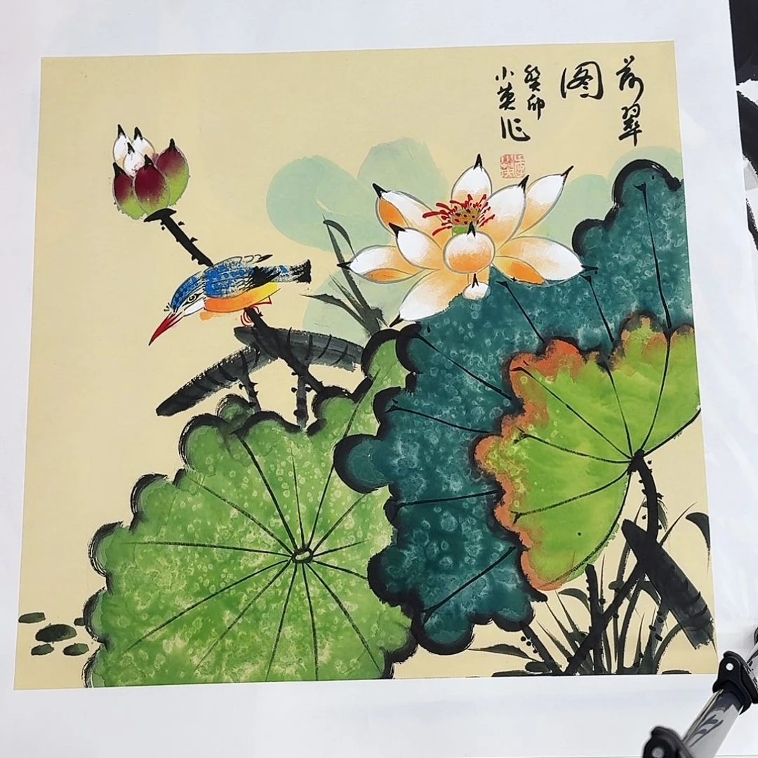 国画50斗方花鸟一张