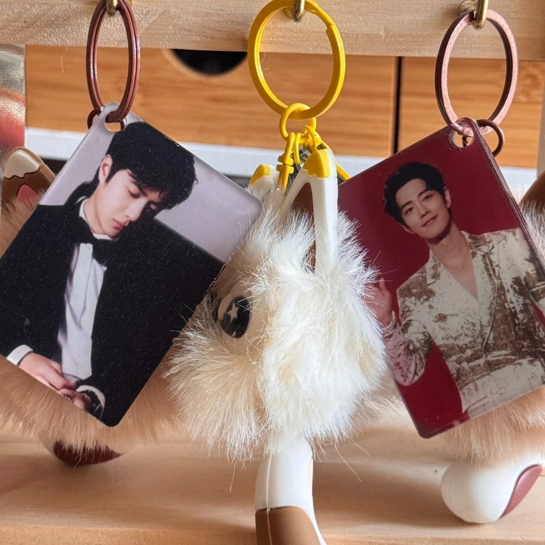 自制肖战王一博毛球钥匙扣