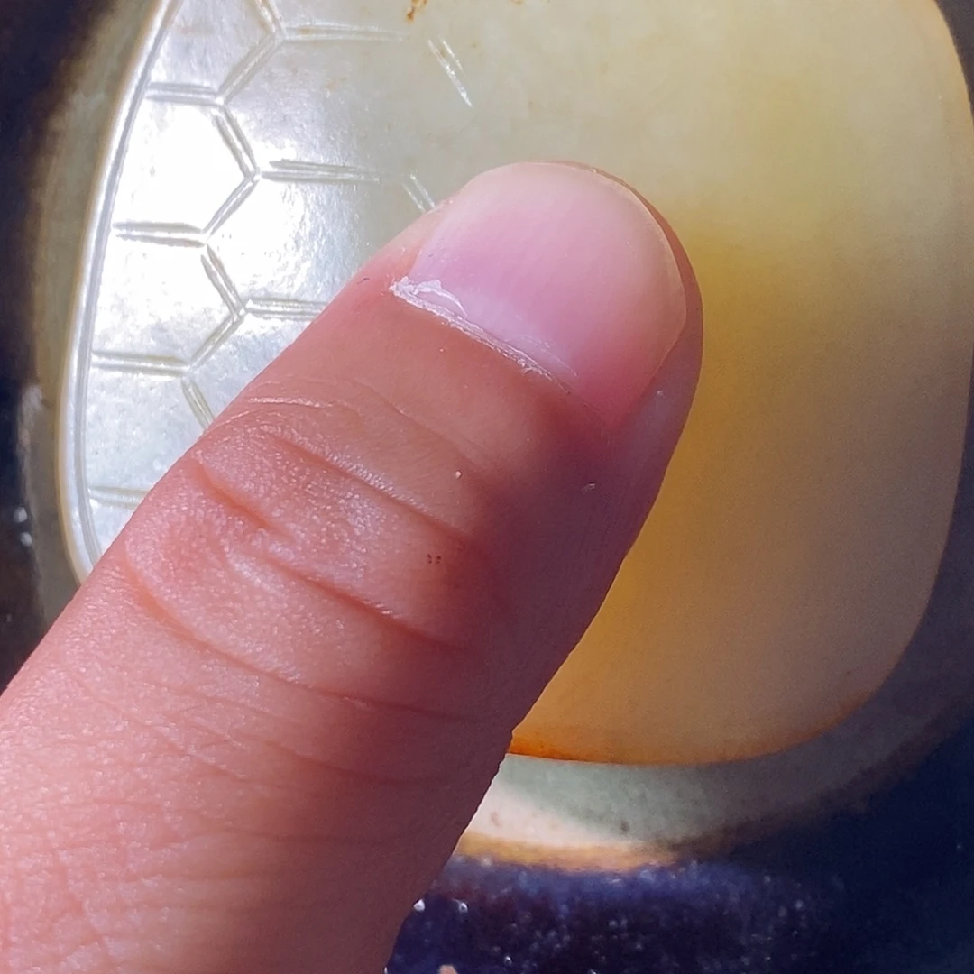 千***鹰瓷片我你就会很努力很用心很