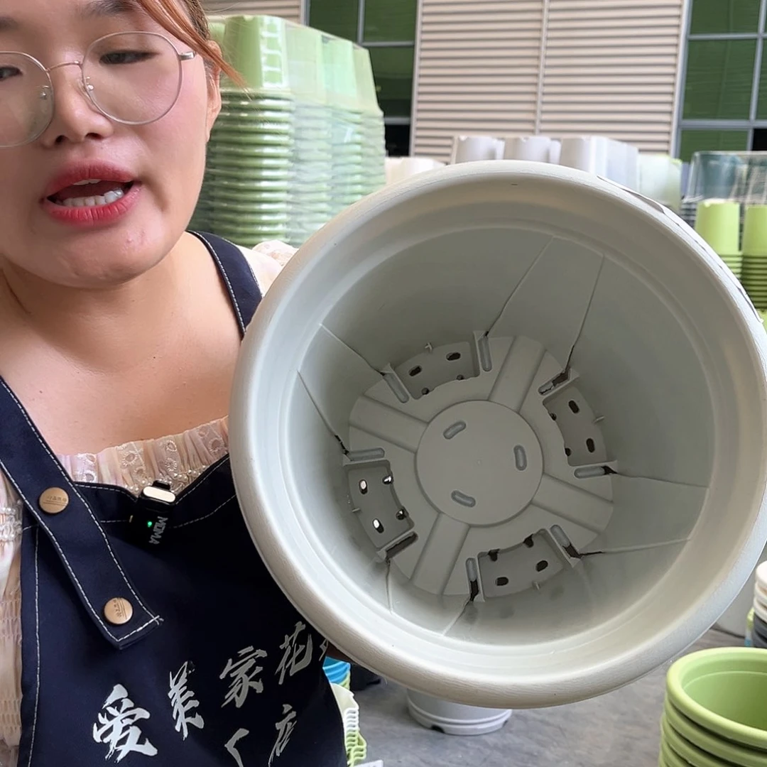 青山盆6#米白色5个无托