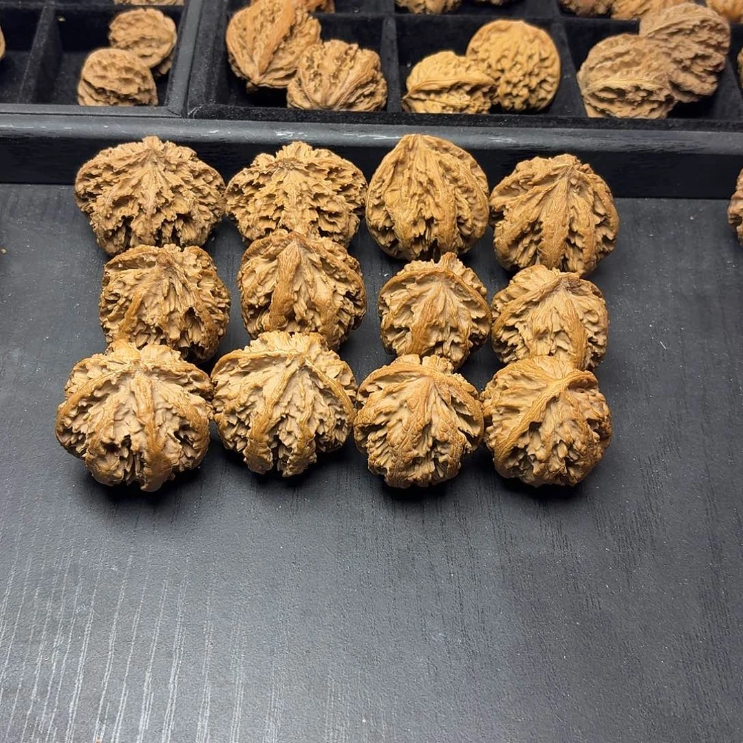 桃木突突突突突突突突
