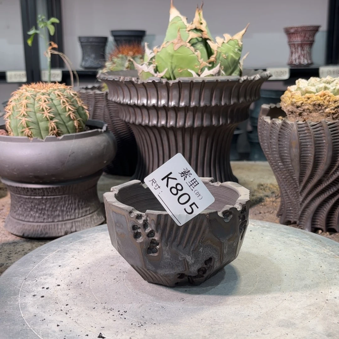 景德镇手工素里内口9.5高6.5