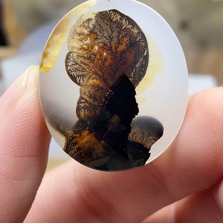 海***洋玛瑙/玉髓未镶嵌颈饰