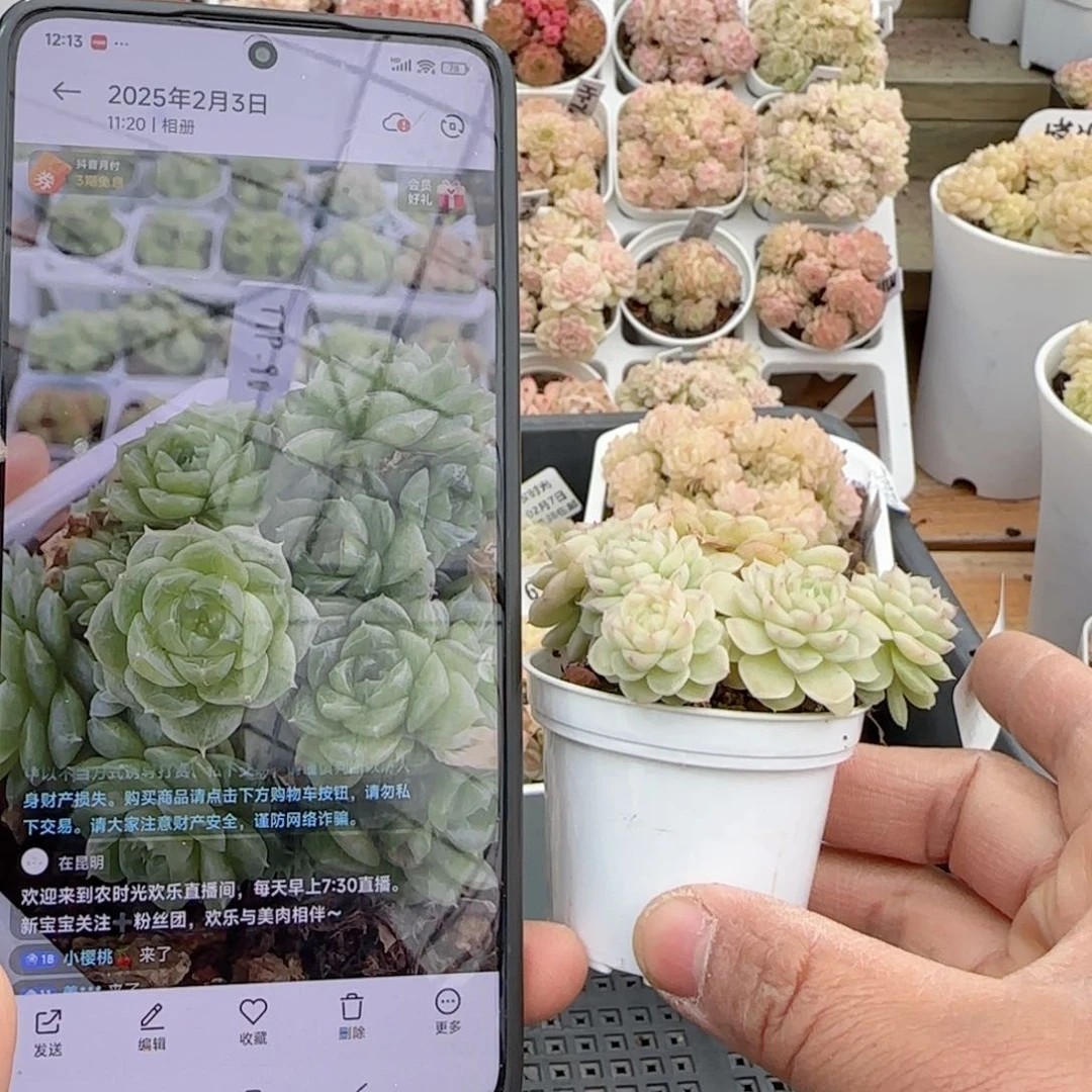 朱***。【闪购商品】0207-68（ttp-90）