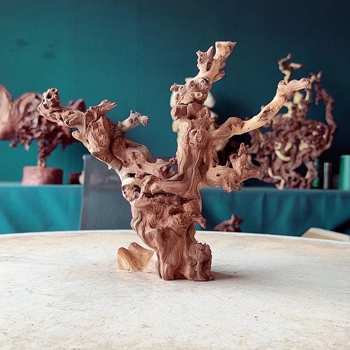 黑果木我****袖518 金丝红木羊蹄甲半成品