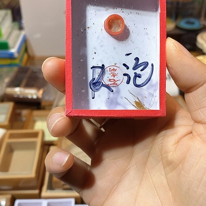 长须石大黄一只包邮