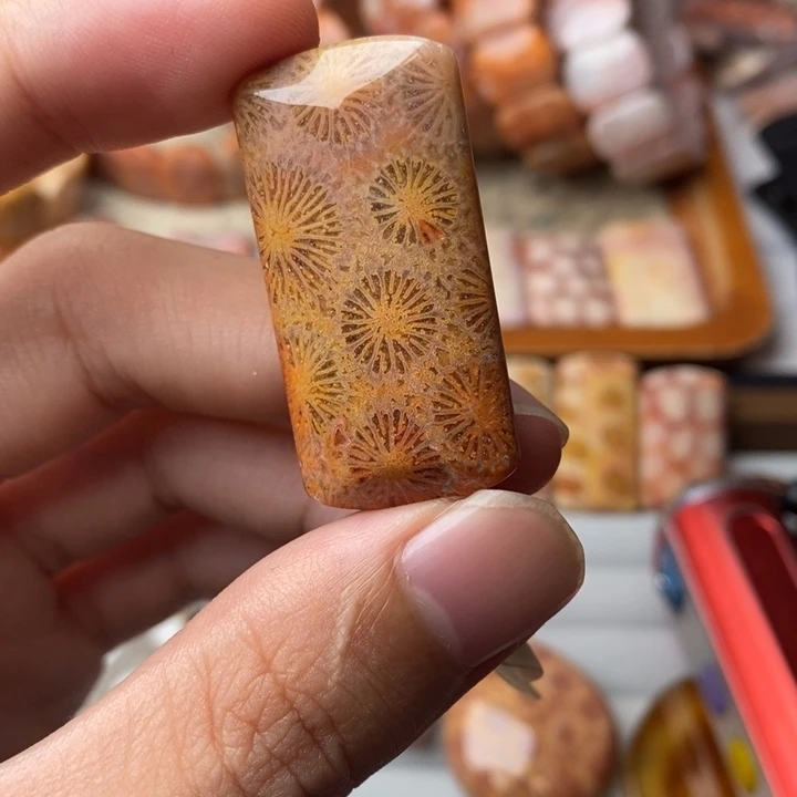 山***里未镶嵌珊瑚玉硅化玉