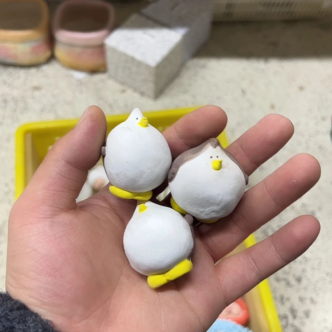 特价福利 随机一个