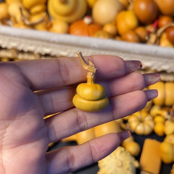 ?**?这些东西真的不是什么东西