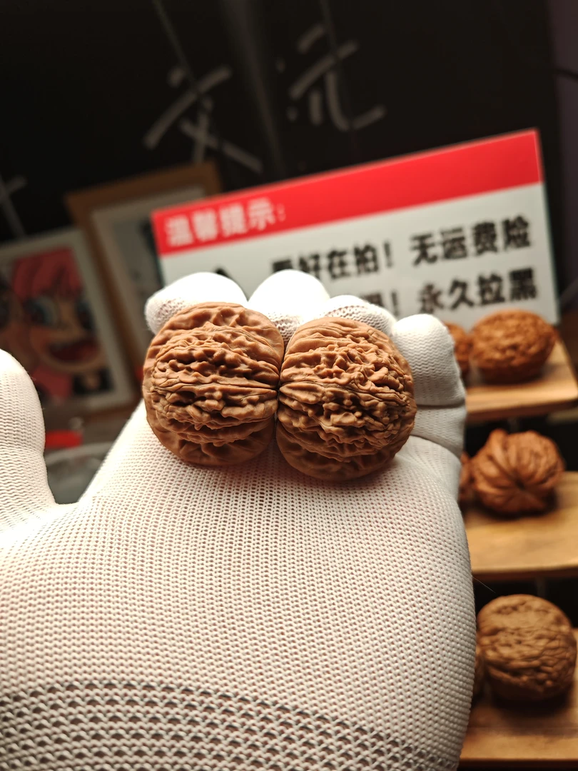 麻核桃四座楼41全品