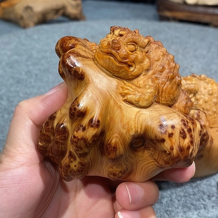 柏木（崖柏）太行崖柏