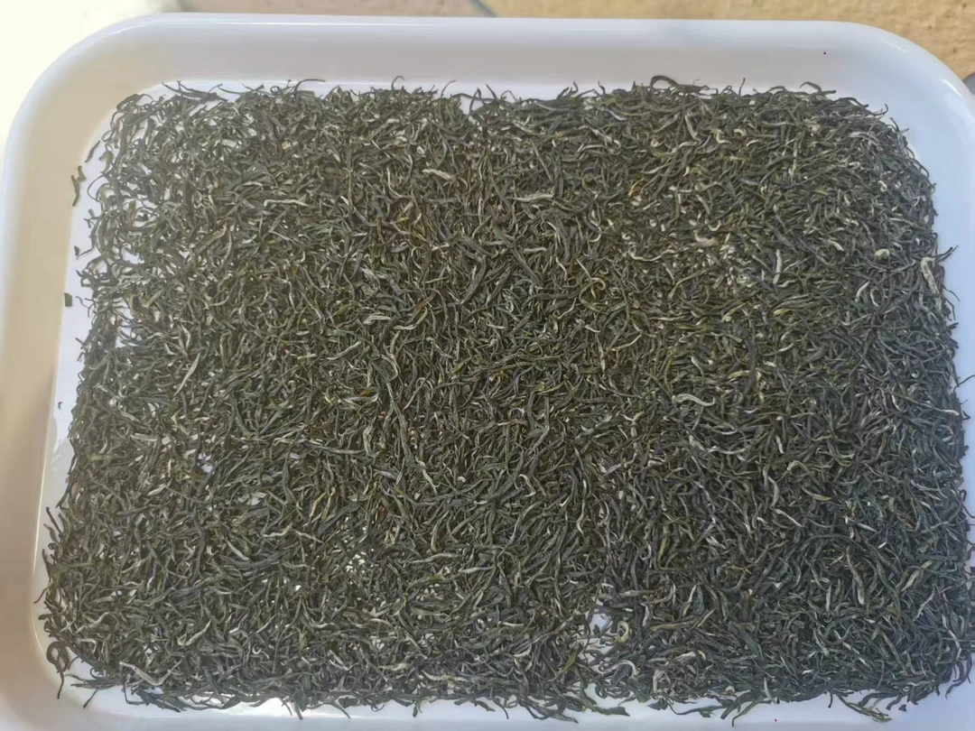 2025年新茶  五峰毛尖   炒青绿茶  栗香 罐装  （1）