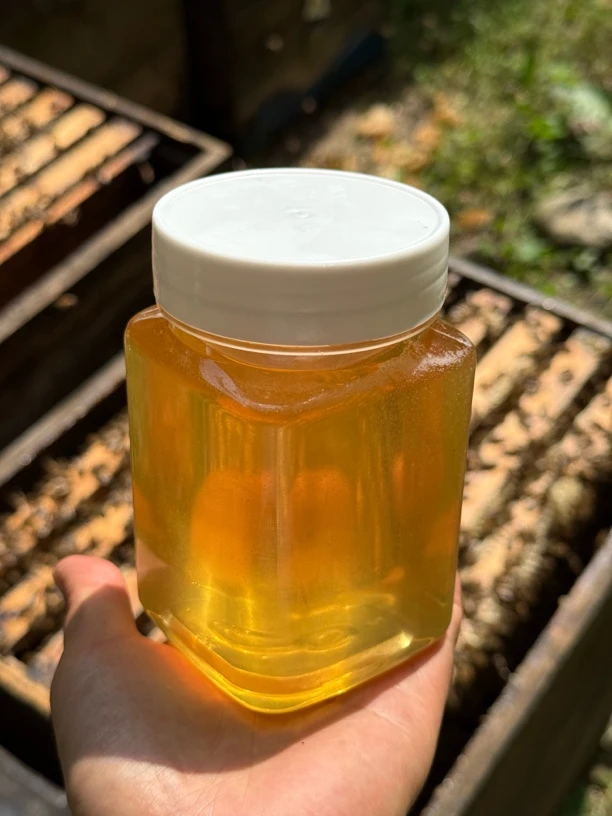 东北原始森林椴树雪蜜蜂农自产无添加原蜜会椴树蜜结晶
