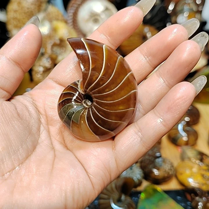 有机玻璃海螺摆件手把件