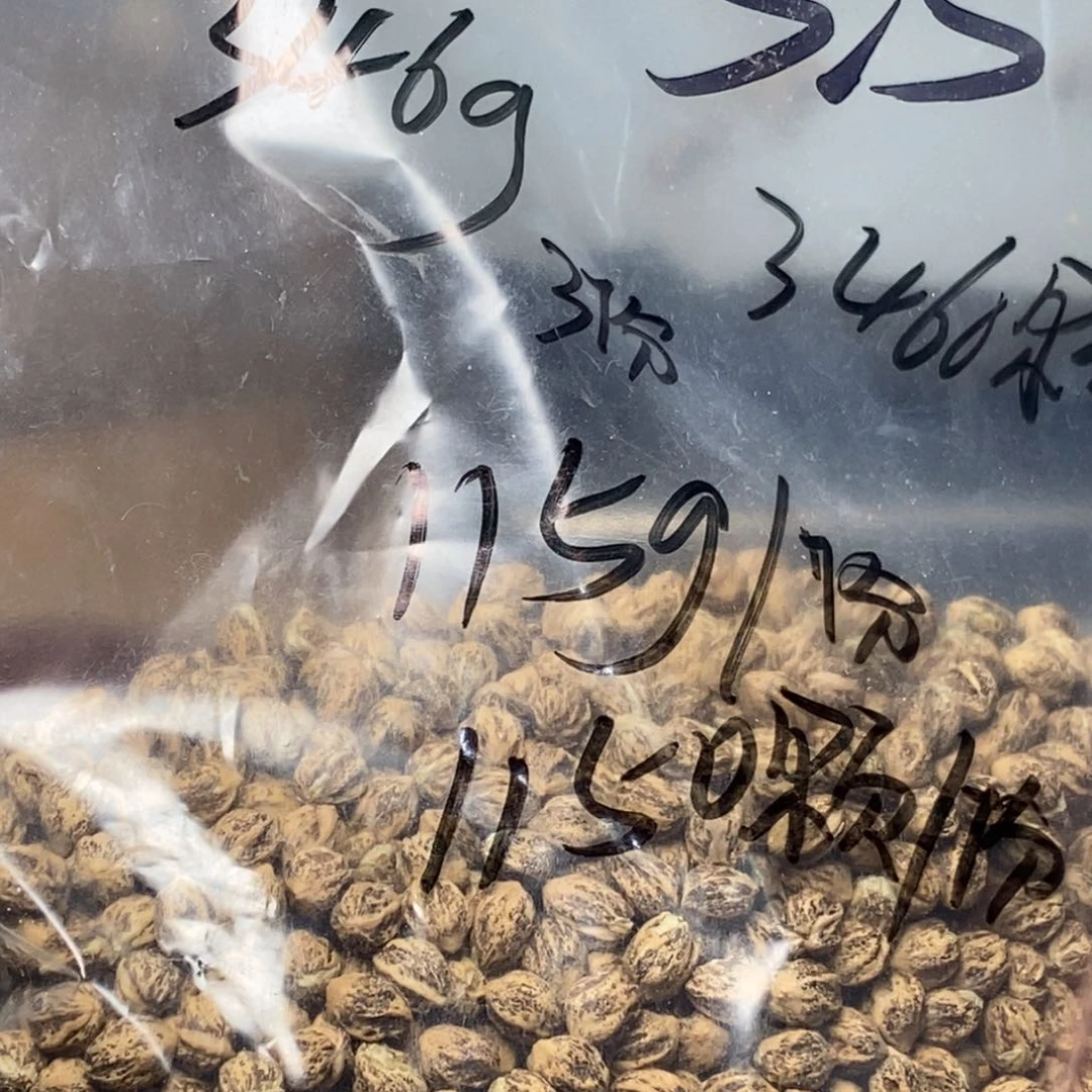 柏香籽/百香籽吊坠