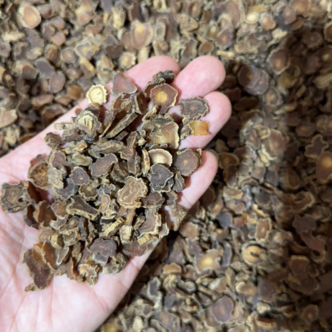 红参小圆片（瑕疵片）