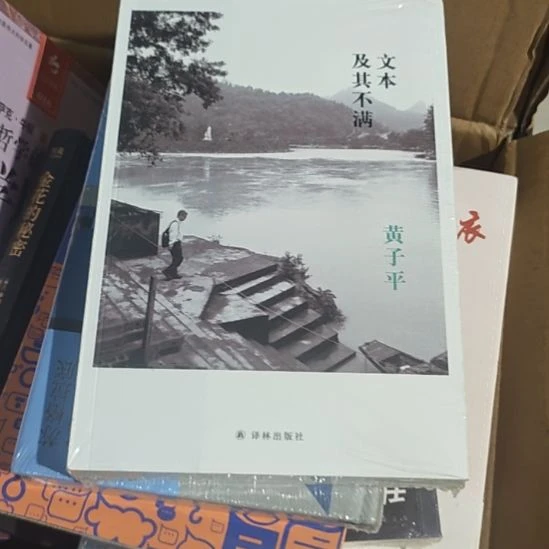 文本极其不满，黄子平著平装库存书全新