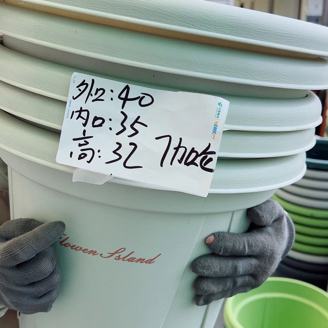 青山盆7#米白色5个无托