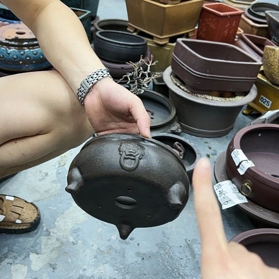 紫砂花盆中放一盆花