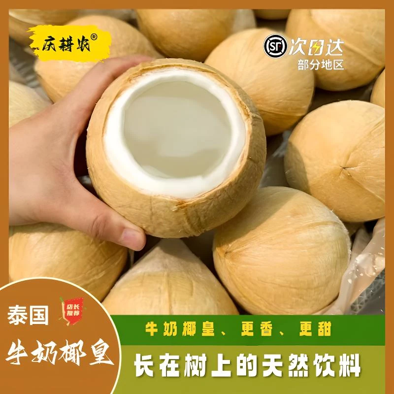 庆耕农泰国进口牛奶椰皇新鲜当季水果奶香小椰子小香椰江南市场发
