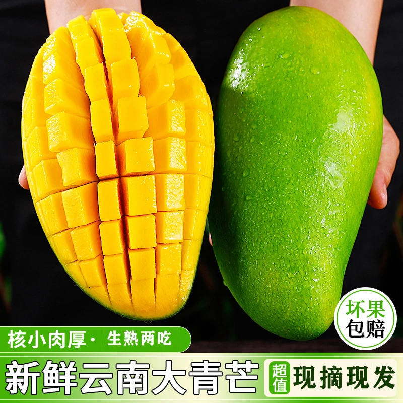【现摘现发】新鲜云南大青芒果当季金煌芒青皮甜心芒热带水果整箱