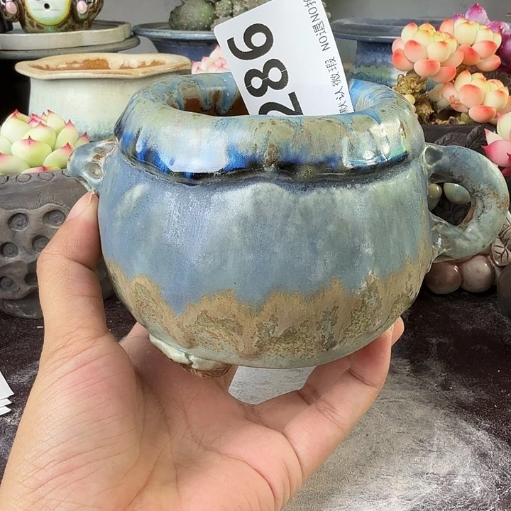 重庆小燕子欢迎大家286