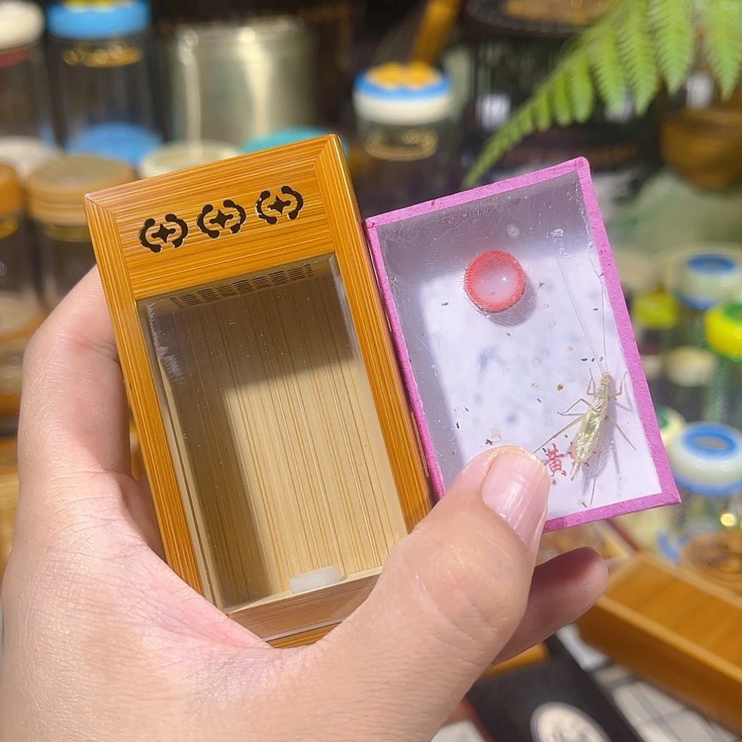 蟋蟀如意斋竹蛉盒+修紫竹铃