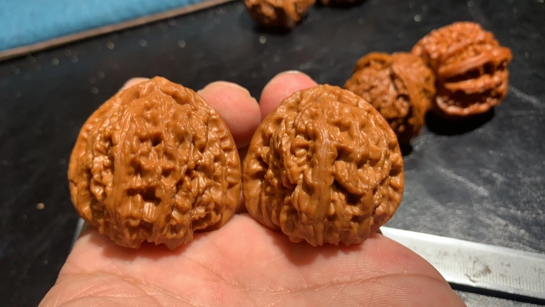 41等腰全品三角白