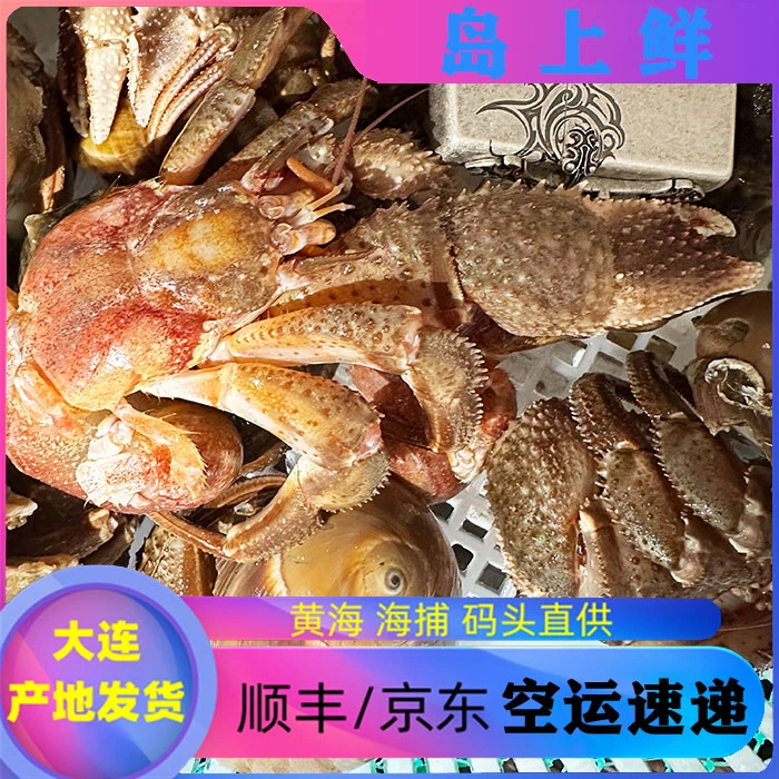 【每份3斤-带壳虾怪】大中小混等，每斤5-10只，各别有沙虫，介意慎拍