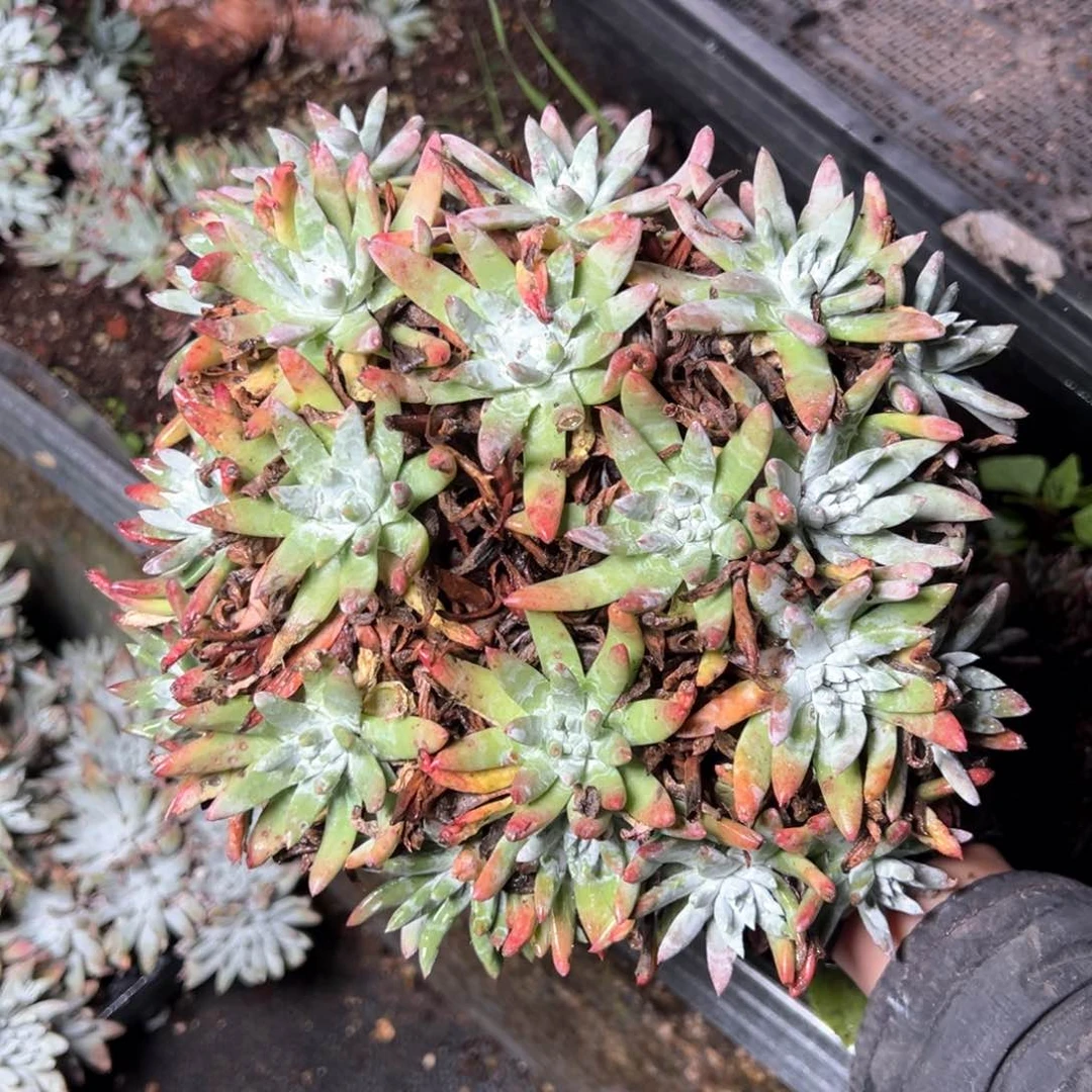 5574哈哈哈哈哈哈哈哈