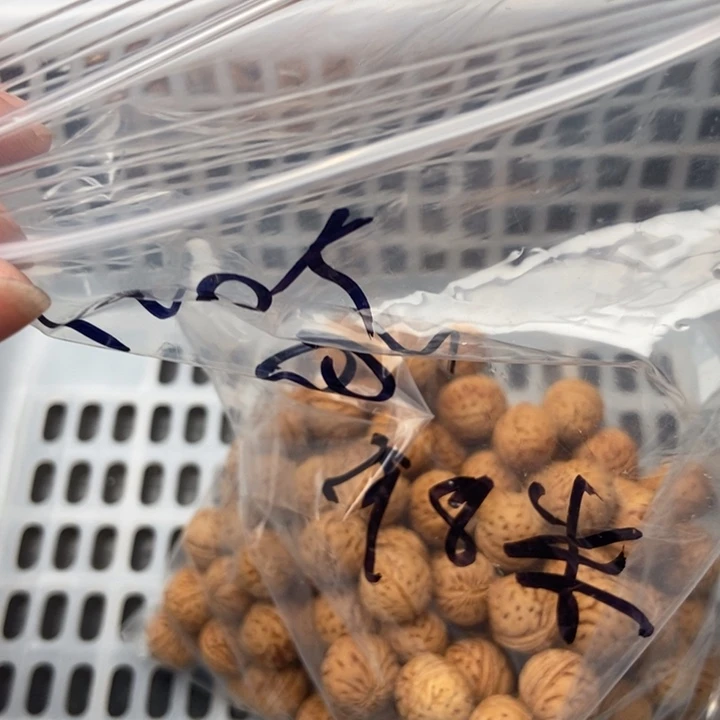 景***居银S925散发240元优惠活动