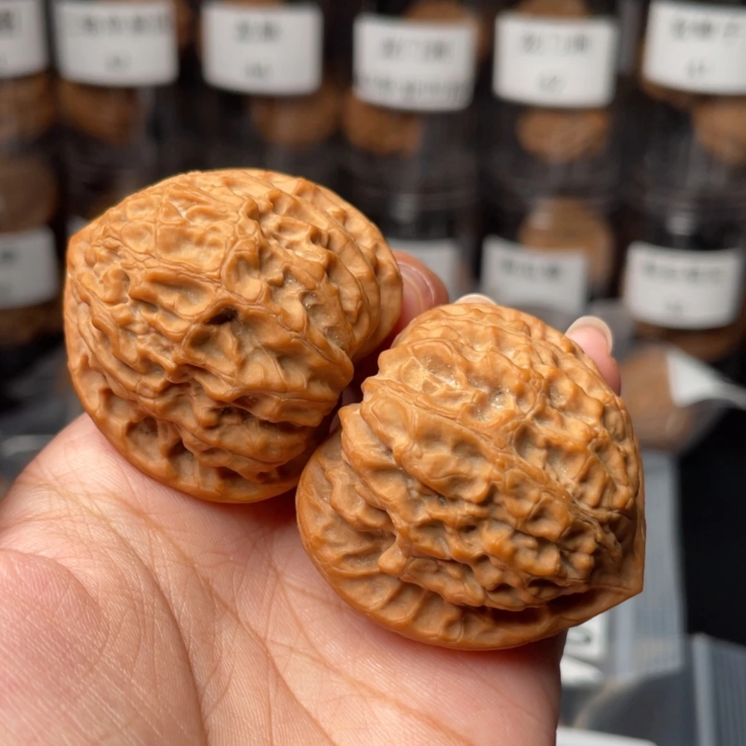 *****41金牛41金牛41金牛