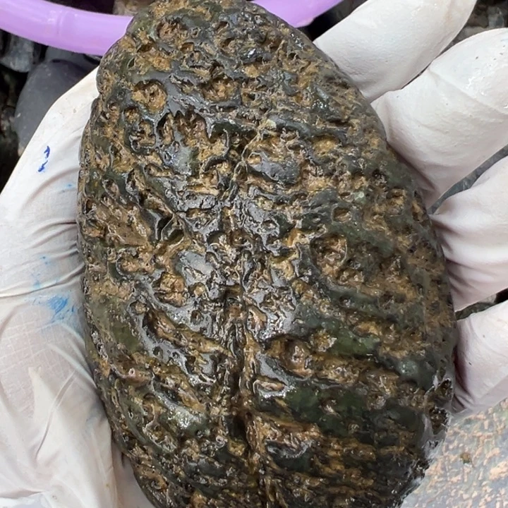 乐***谜未镶嵌菱锰矿藏玉药王石藏玉