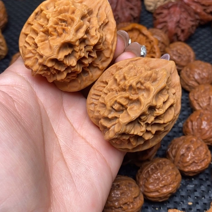 秦岭野生0000000000068