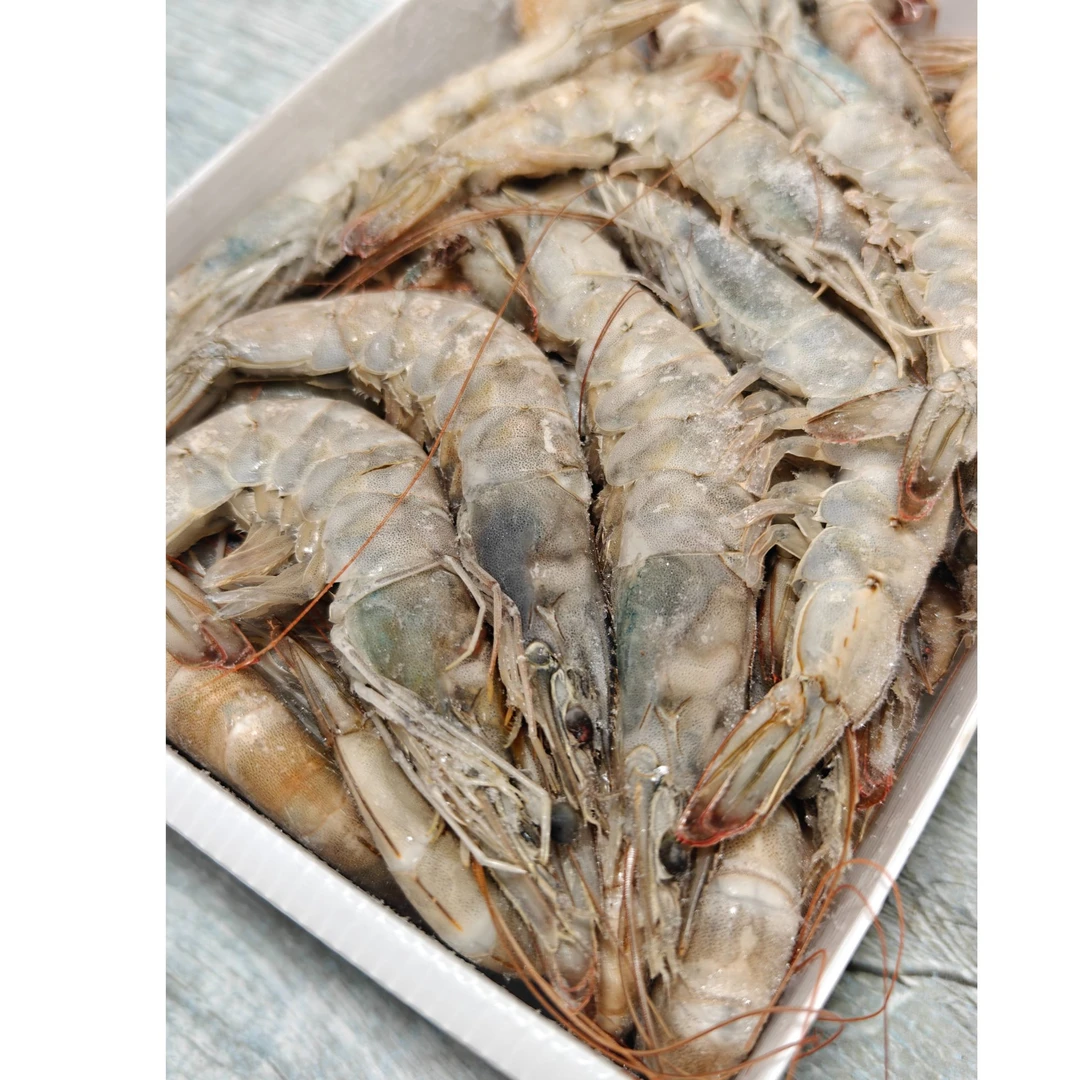厄瓜多尔白虾大虾鲜活速冻盐冻1650G