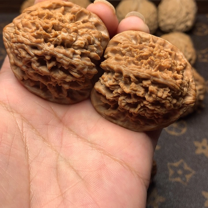 文玩核桃满天星狮子头