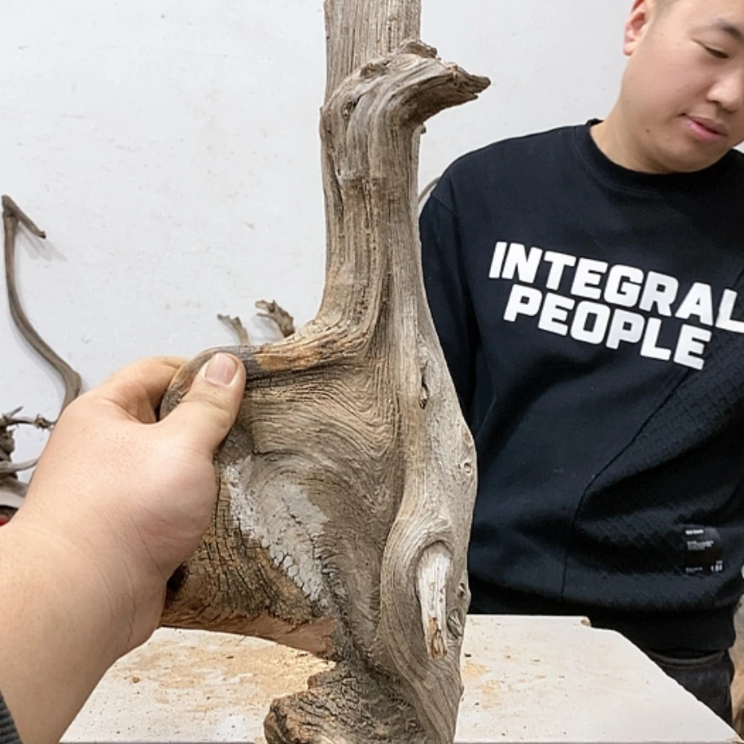 【闪购商品】柏木用****5我们都是好孩子