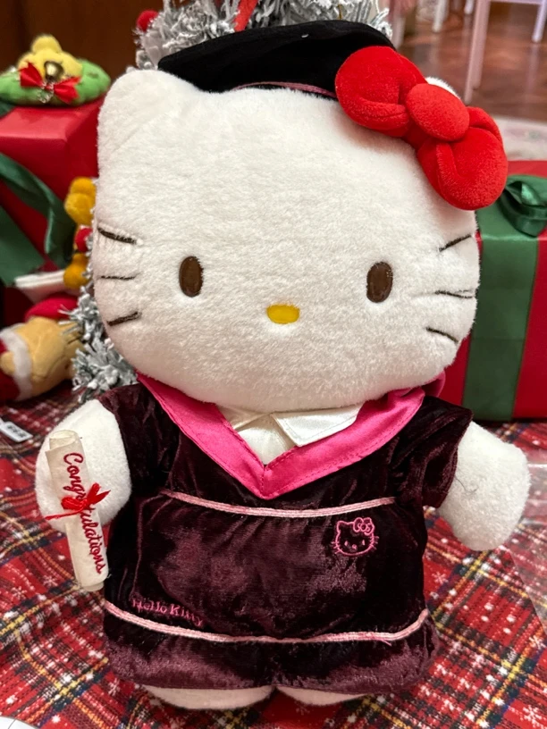 小刘鸭专拍学士kitty公仔