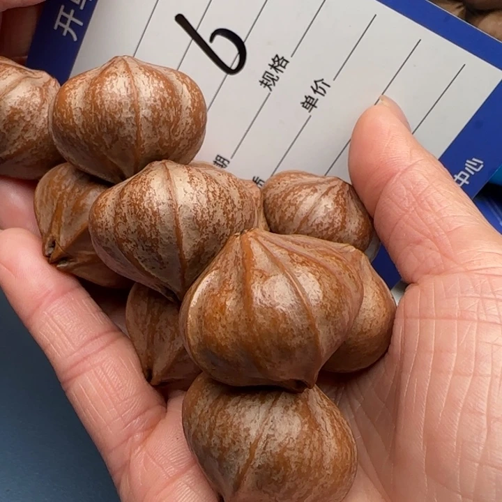 丽***航手串橄榄核橄榄核