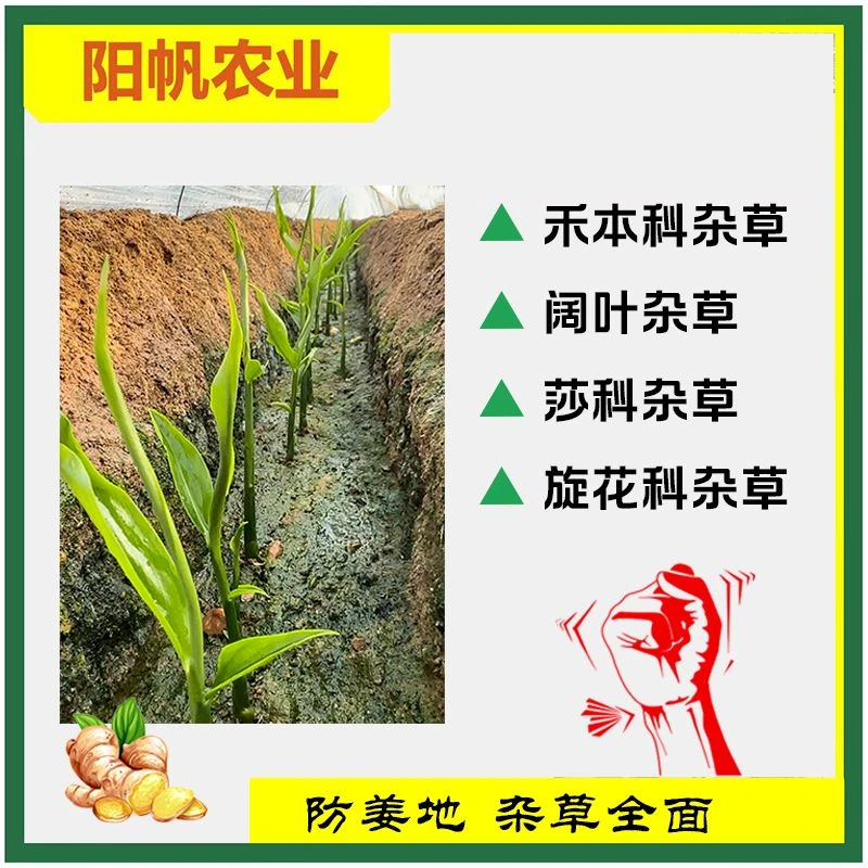 大姜 防姜地姜沟姜背 1套1亩地