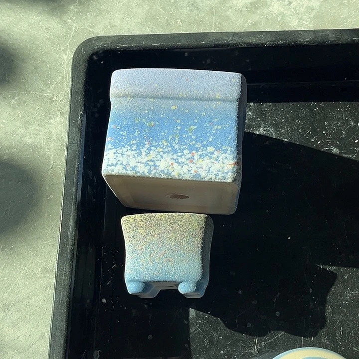 陶甜甜兔小姐姐专属