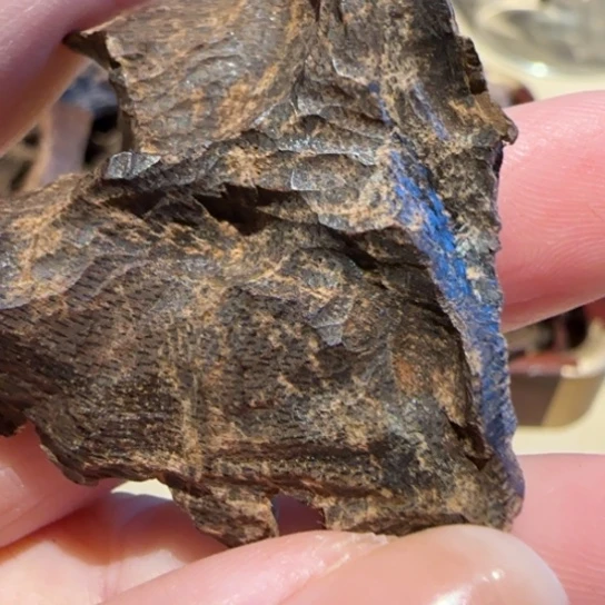 沉香摆件老海南沉水包头7克