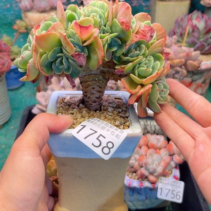 我1758；gsbxbcbbhbn