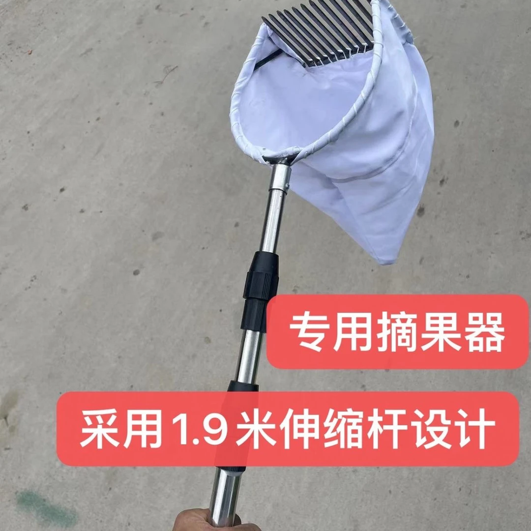 摘茶籽茶油果山茶籽工具神器山桃山柿油茶摘果工具伸缩摘果神器