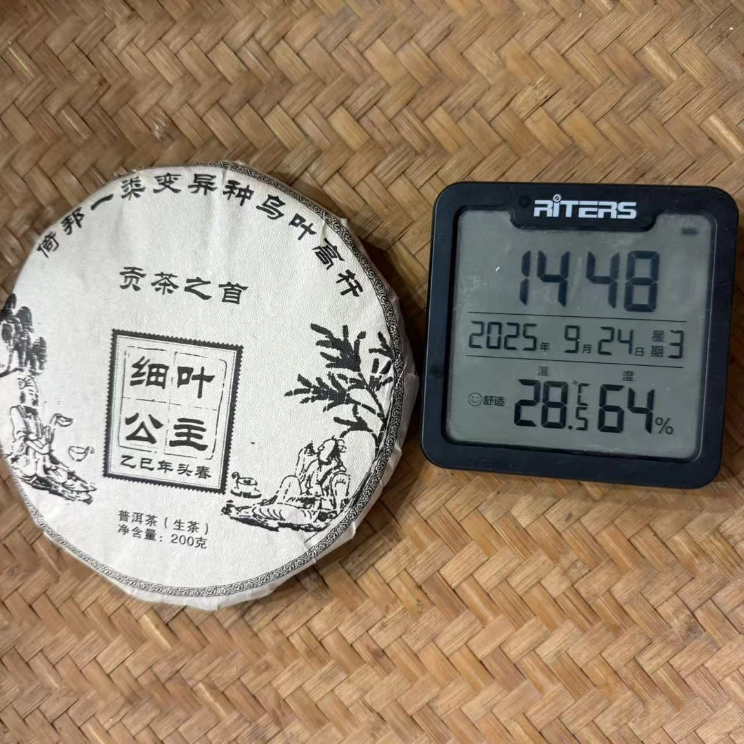 2025年倚邦细叶公主一类变异种乌叶普洱生茶饼200克M298号9月24日