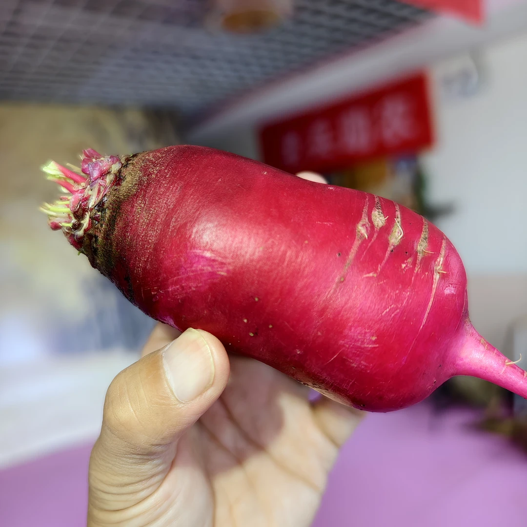 穿心红萝卜紫皮辣萝卜新鲜上市农家自种苏北鲁南晥北人人爱吃